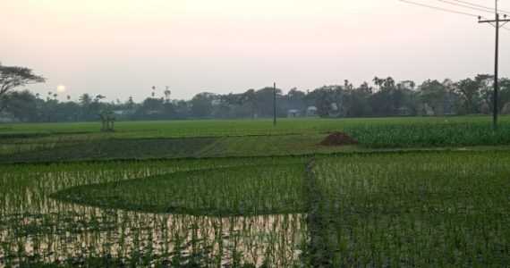 ‎পৈতৃক সম্পত্তি থেকে ভাই বোনকে বঞ্চিত করার অভিযোগ ছোট ভাইয়ের বিরুদ্ধে  ‎