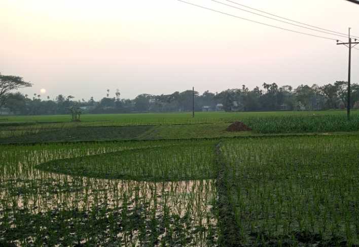 ‎পৈতৃক সম্পত্তি থেকে ভাই বোনকে বঞ্চিত করার অভিযোগ ছোট ভাইয়ের বিরুদ্ধে  ‎